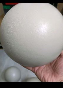 2 Big Plastic Balls to make DIY,Craft Work