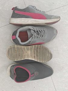Sport Shoes