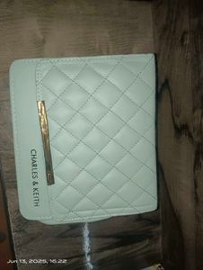 Charles & Keith Quilted Crossbody Bag