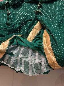 Green Embellished Lehenga Choli