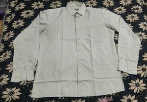 Light Green D&#39;Lero 100% Pure Soft Cotton Shirt
