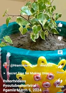 Handmade Cement Planter Pot 🪴