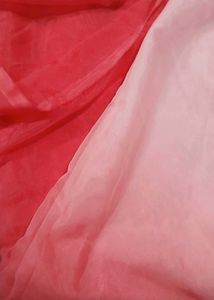 Ombre Dual Tone Organza Saree Without Blouse