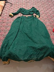 Green Embellished Lehenga Choli