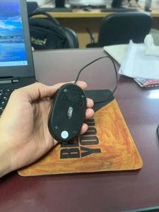 Mouse