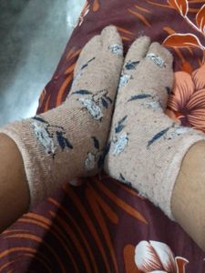 Socks
