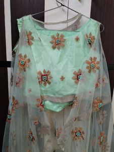 Elegant Mint Green Lehenga Choli