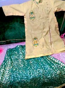 Green Lehenga Choli Set