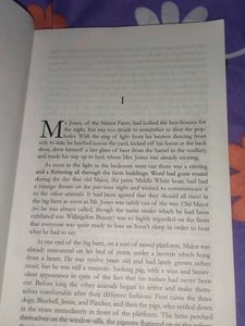 Novel