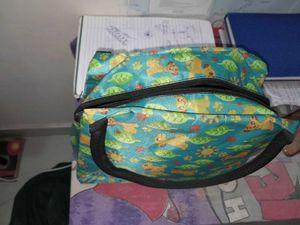 Handbag