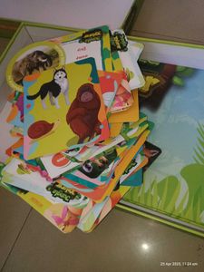 Jungle Xplorer A Unique Wildlife Quiz Game