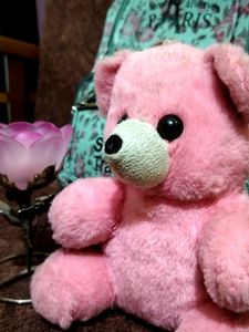 Cute Teddy Bear &amp; Backpack