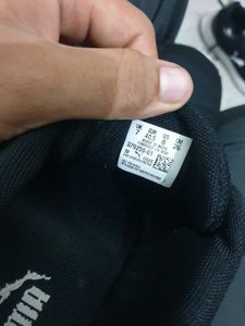 Puma Shoe (OG) Uk 7 (Cash ONLY)