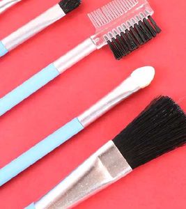Makeup Brush Set