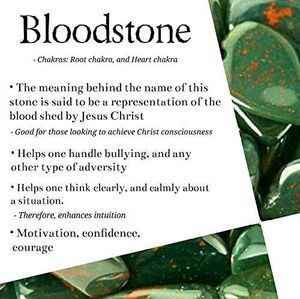 Bloodstone Crystal Bracelet (8mm)