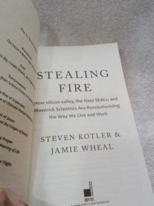 Stealing Fire Book