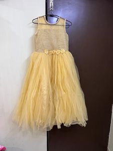Golden Girls Dress