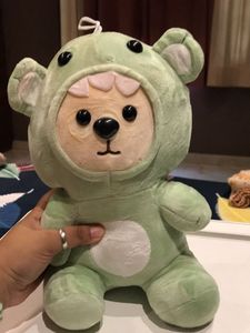 Cute Frog Bear Plush