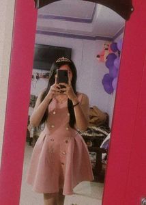Pink Mini Velvet Dress🎀