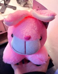 Pink Plush Bunny - New with Tags!