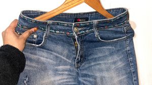 Embellished Flare Leg Jean