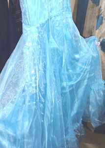 Organza Long Flaired Frock