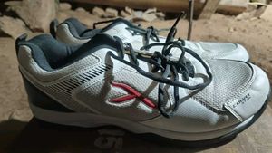 Court Vision Sport Shoes