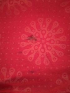 Red Embroidered Kurta with Dupatta