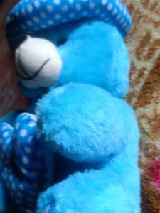 Blue Teddy Bear with Hat