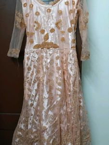 Elegant Ethnic Gown