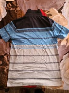 Stripped blue and grey cotton T Shirt