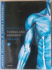 Thorax and Abdomen Anatomy Guide