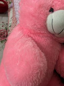 Pink Teddy For Kids