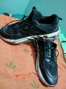 Casual Shoes