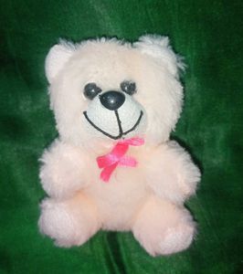 Cute Small Teddy Bear Plushie 🧸