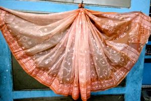 Elegant Peach Saree rubber print