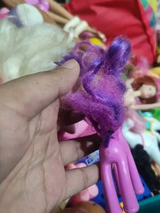 Pony