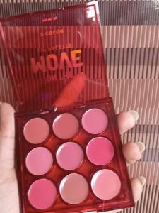 Swiss Beauty Lip Pallete