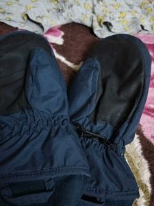 Combo Of Gloves  N Brief Free