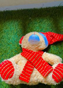 Taddy Bear Soft Toy