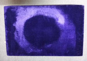 BLUE VELVET BOX ( MEDIUM)