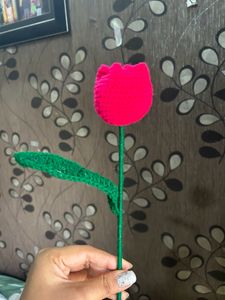Tulip