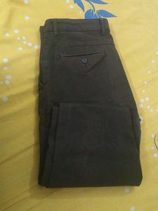 Brown Chinos Pants Sparx Strecheble