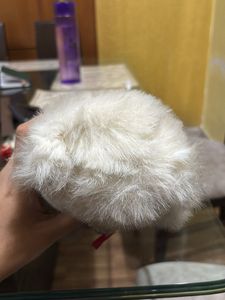 Cute Teddy