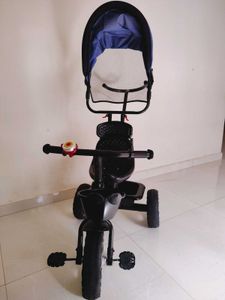 Tricycle Self Pickup Only