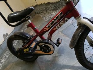 BSA Roamer Kids Bicycle