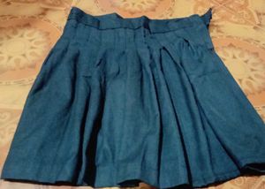 Vintage Pleated  Skirt
