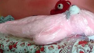 Pink Teddy Bear