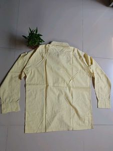 Checked Casual Shirt
