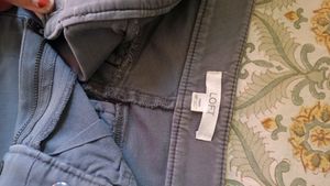 Grey  Pant